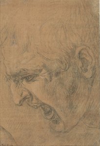 Head of a Screaming Man