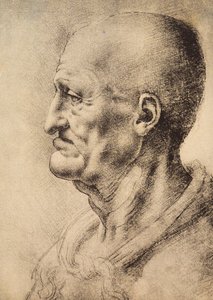 A Man Shown in Profile