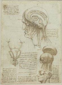A manuscript sheet with anatomical drawings and notes by Leonardo da Vinci