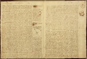A page from the Codex Leicester, 1508-12 by Leonardo da Vinci