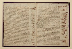 A Page from the Codex Leicester, 1508-12 by Leonardo da Vinci