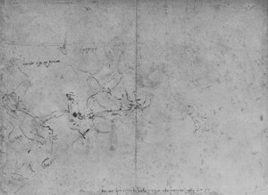 Allegory of Fame Attacking Envy by Leonardo da Vinci