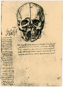 Anatomical sketch of a human skull, c1472-1519 by Leonardo da Vinci