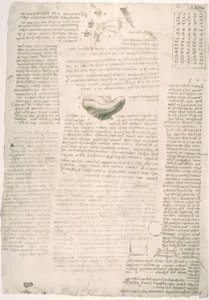 Anatomy Studies by Leonardo da Vinci