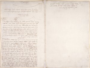 Notes and Diagrams on the Flight of Birds, from 