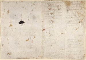 Drawings on the mechanical powers and forces, percussion, gravity, motion, optics and astronomy, with various arithmetical and geometrical propositions by Leonardo da Vinci