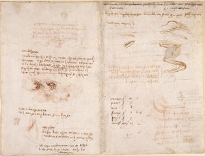 Notes on the sense of reality in dreams, on water, and the Rivers Sieve and Arno (upside-down), from 