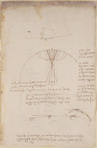 Diagrams on optics, concerning the caustics of reflection; note and sketch on mechanics, concerning the power of percussion and with references to the Aristotelian principle by Leonardo da Vinci