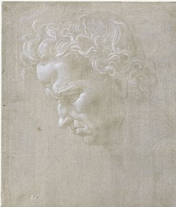 Expression Head of a Man in Profile by Leonardo da Vinci