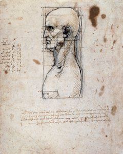 Bust of a man in profile with measurements and notes by Leonardo da Vinci
