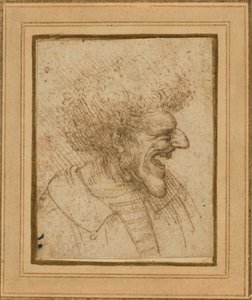 Caricature of a Man with Bushy Hair by Leonardo da Vinci