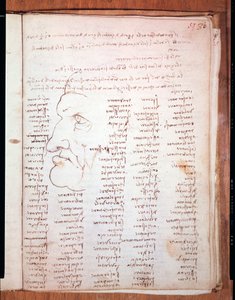Codex Trivulziano by Leonardo da Vinci - Trivulziana Library, Milan by Leonardo da Vinci