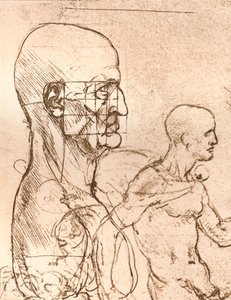 Drawing Illustrating the Theory of the Proportions of the Human Figure by Leonardo da Vinci