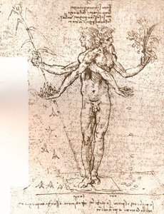 Drawing of an allegorical composition by Leonardo da Vinci