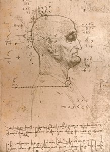 Drawing of the Head of a Criminal, c1472-c1519 by Leonardo da Vinci