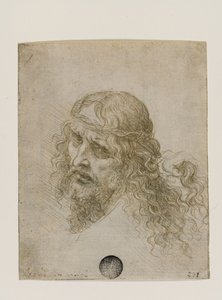 Head of Christ Crowned with Thorns