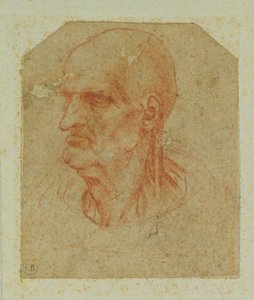 Head of a beardless old man, left profile