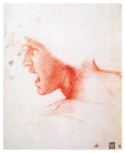 Head of a Man Shouting in Profile to the Left, 1503-1504 by Leonardo da Vinci
