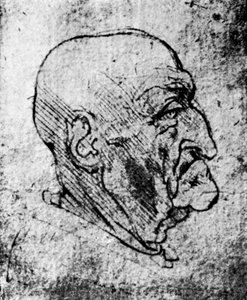 Head of an Old Man, 1913