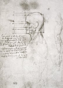Head of an Old Man in Profile, facsimile copy