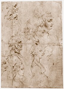 Heads of Girls, Young and Old Men, 1478-1480