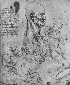 Profile of a Man Squared for Proportion and Studies of Horsemen by Leonardo da Vinci