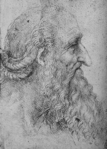 Profile of an Old, Bearded Man to the Right by Leonardo da Vinci