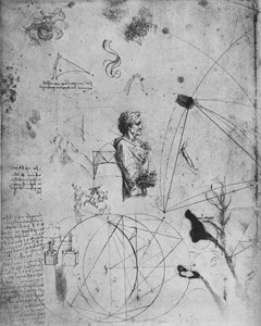 Profile of an Old Man, Plants, Geometrical Figures, Etc. by Leonardo da Vinci