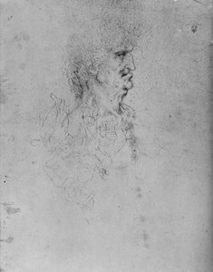 Profile to the Right of an Old Man