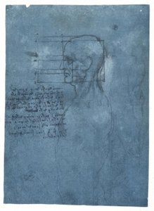 Proportional Study of a Male Head in Profile by Leonardo da Vinci