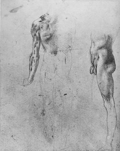 Studies of a Nude Man Seen from the Back and from the Side, c1480 by Leonardo da Vinci