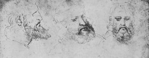Studies of the Head of Cesare Borgia from Three Points of View