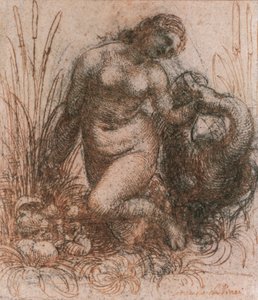 Study for Leda and the Swan by Leonardo da Vinci