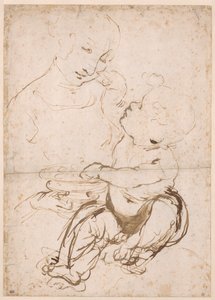 Study for the Madonna with a Fruit Bowl by Leonardo da Vinci