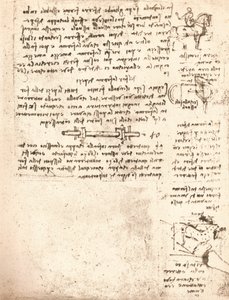 Study for the Sforza Monument by Leonardo da Vinci