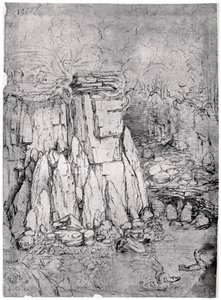 Study of a rocky cavern with ducks