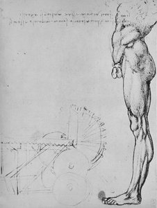 Study of the Lower Half of a Man and of Machinery by Leonardo da Vinci