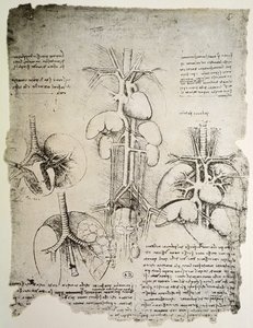 The Heart and the Circulation, facsimile of the Windsor book by Leonardo da Vinci