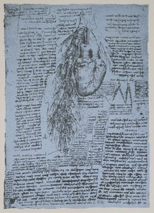 The Heart and the bronchial arteries, facsimile of the Windsor book by Leonardo da Vinci