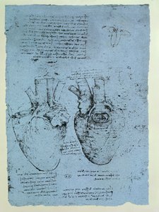 The Heart, Facsimile of the Windsor Book by Leonardo da Vinci