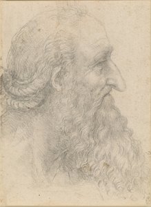 The head of an old bearded man by Leonardo da Vinci