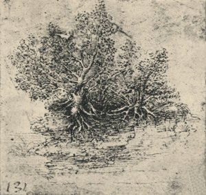 Two Trees on the Bank of a Stream, c1480 by Leonardo da Vinci