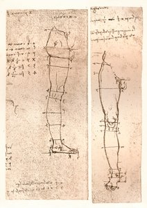 Two Drawings Illustrating the Theory of the Proportions of the Human Figure by Leonardo da Vinci
