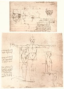 Two Drawings Illustrating the Theory of the Proportions of the Human Figure by Leonardo da Vinci