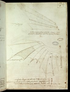 Wing