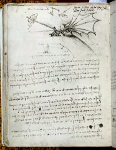 Wing Training by Leonardo da Vinci