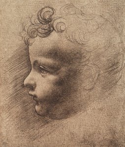 Head of a small boy