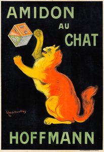 Starch with Cat
