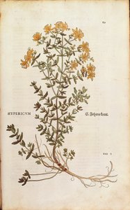 St John