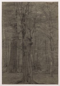 Trees